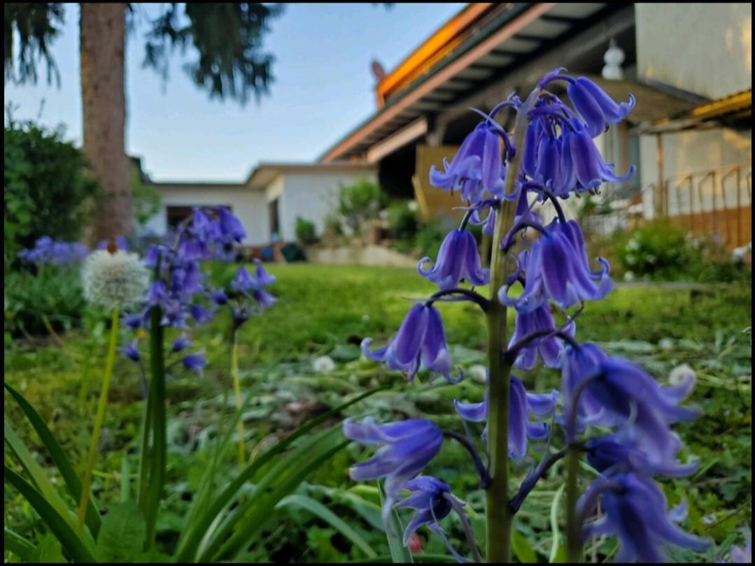 Ferienwohnung Goldstueck Im Gruenen Bad Schonborn Exterior foto